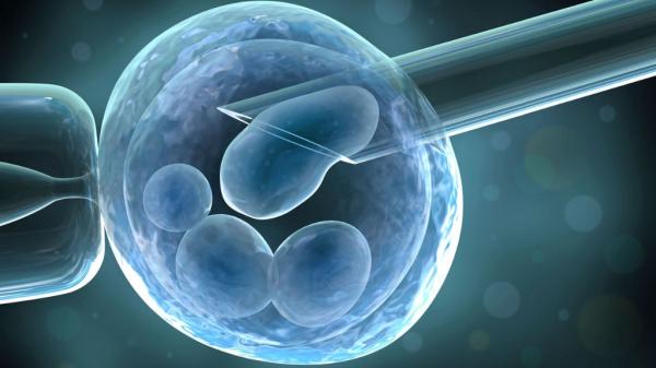 IVF